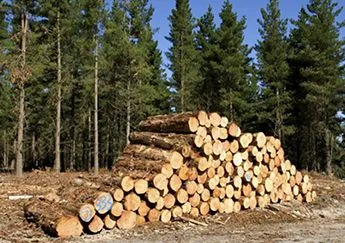PAR SAVETA KAKO DA EFIKASNO ISKORISTITE OGREVNO DRVO